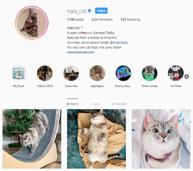 Top Pet Influencers on Instagram - Ainfluencer