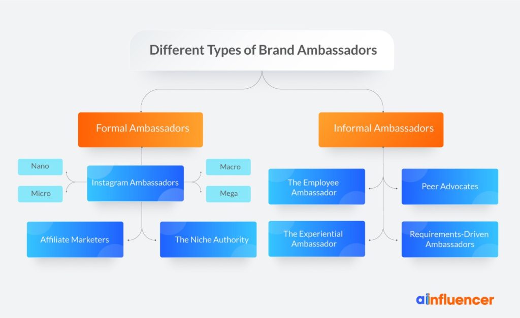 Types of brand ambassadors