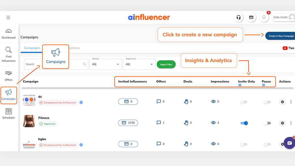 Campaign section on Ainfluencer