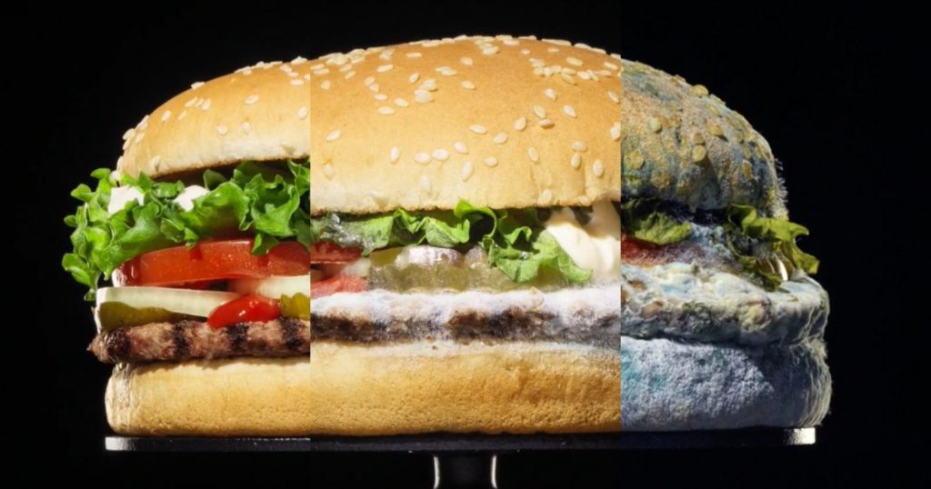 burger_king_moldy-brand advertising example