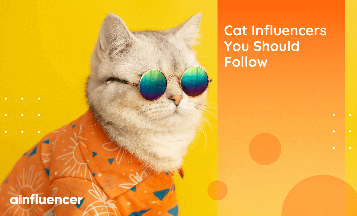 You are currently viewing 34 Cat Influencers You Should Follow In 2024