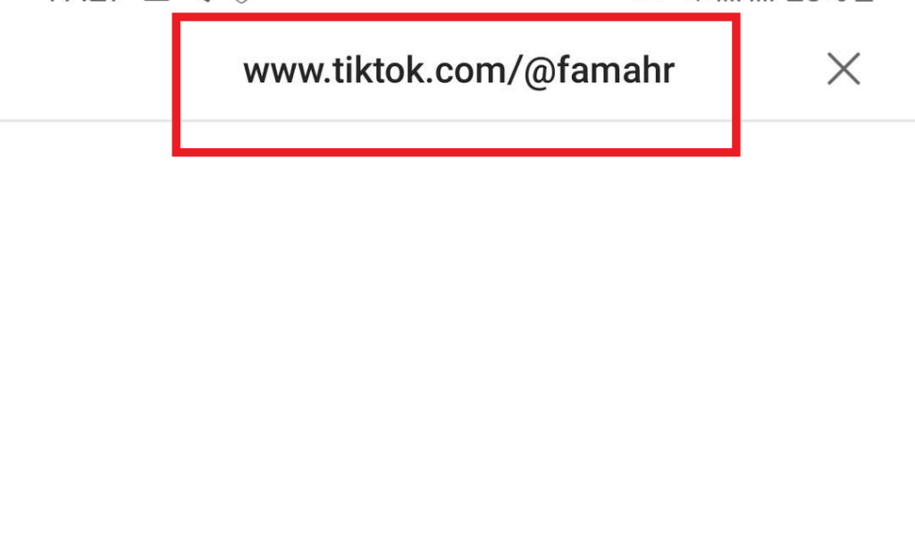 URL including TikTok username