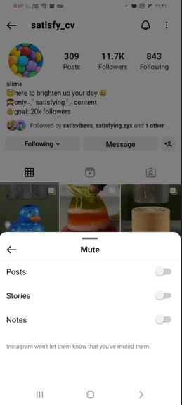 Mute Posts and Story