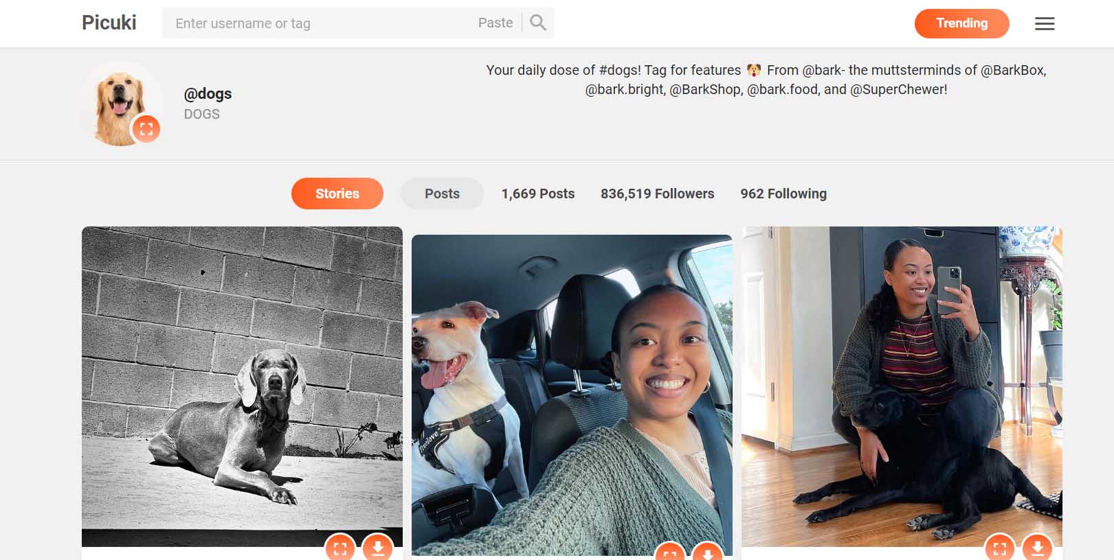 What Is Picuki And How Does It Work? + 8 Alternatives
