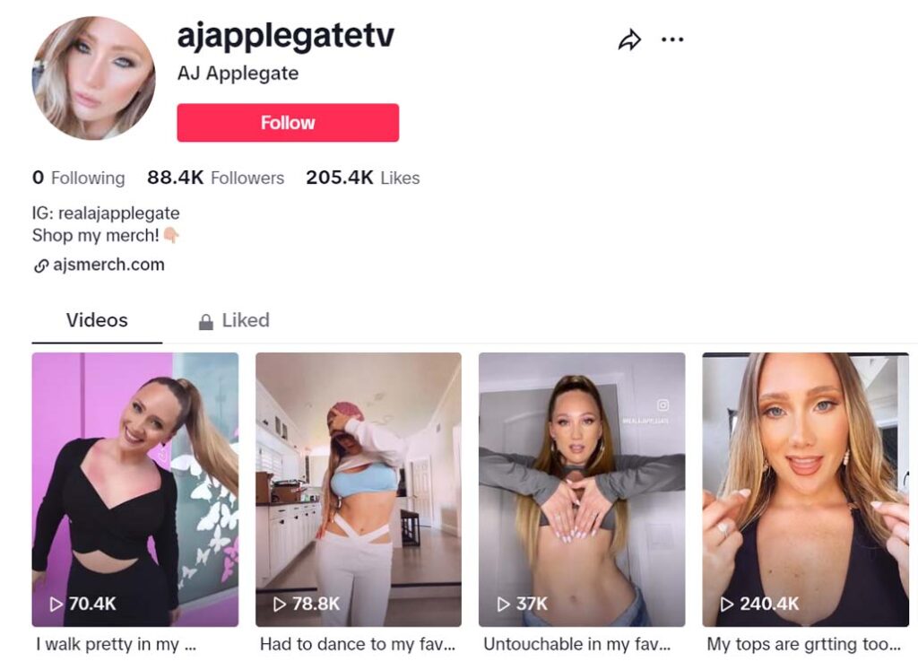 TikTok Porn: Where Social Media Meets Adult Entertainment - Top TikTok creators in the adult entertainment industry