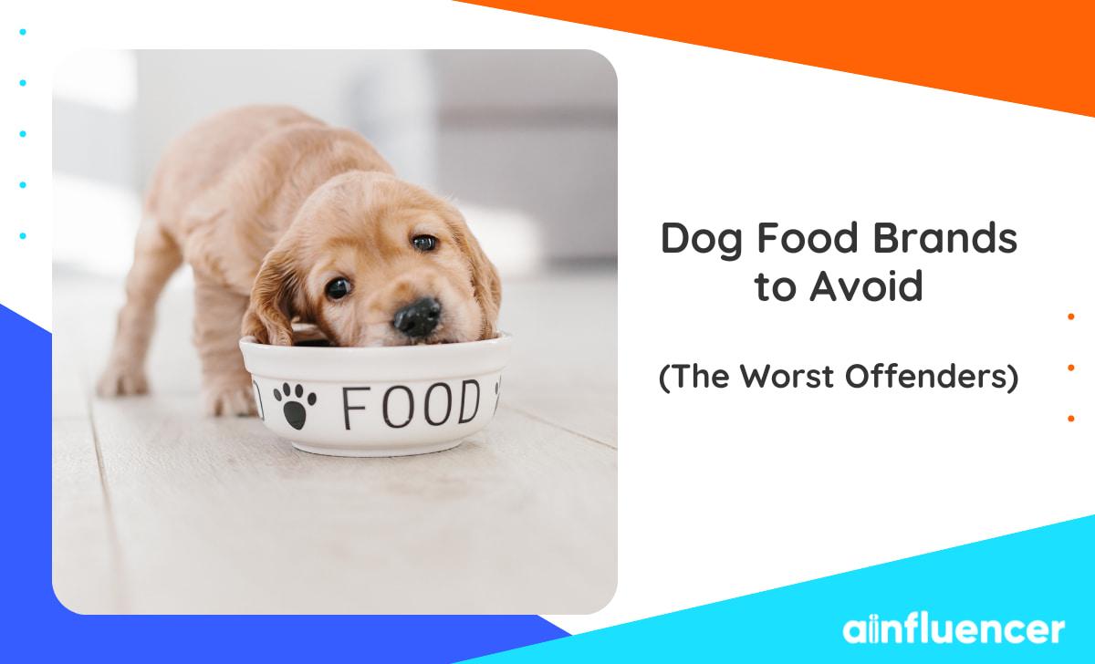 You are currently viewing 10 Dog Food Brands to Avoid: The Worst Offenders