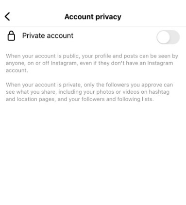 How To Privately View Instagram Accounts In 2023 Easily