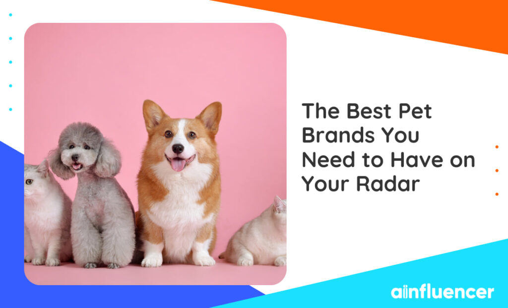 Read more about the article The Best Pet Brands You Need To Have On Your Radar￼