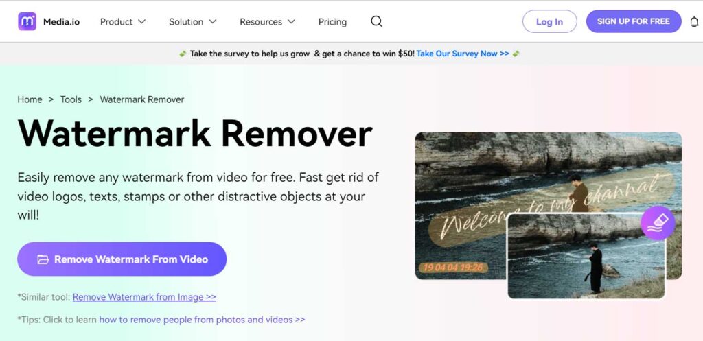 online TikTok watermark remover