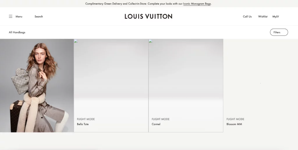 Louis Vuitton 