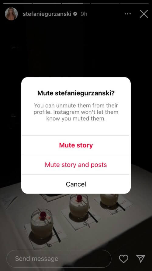there are three options on the photo: 1. Mute Story 2. Mute story and Posts 3. Cancel
