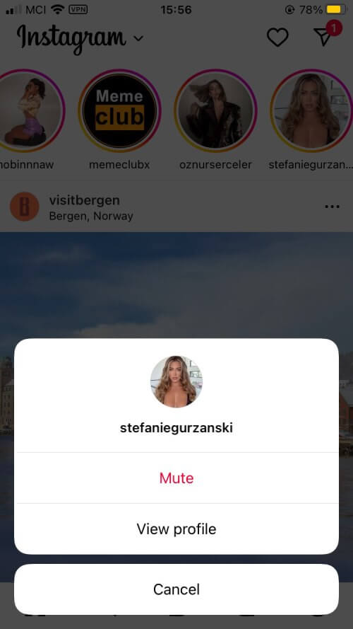 menu for muting someone on Instagram