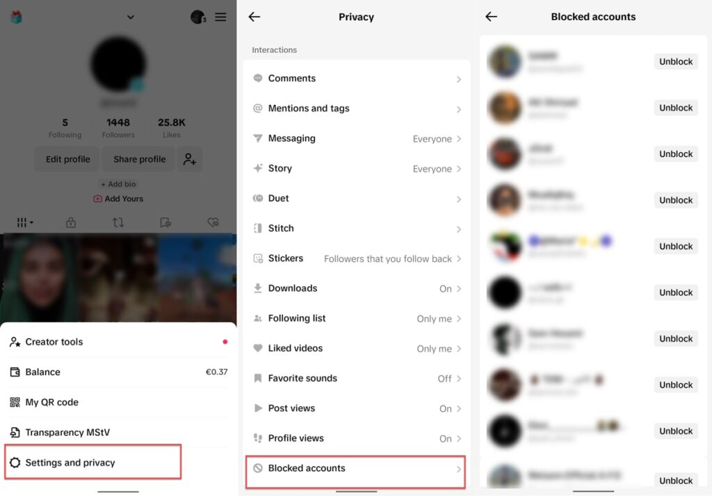 View Blocked Accounts On TikTok